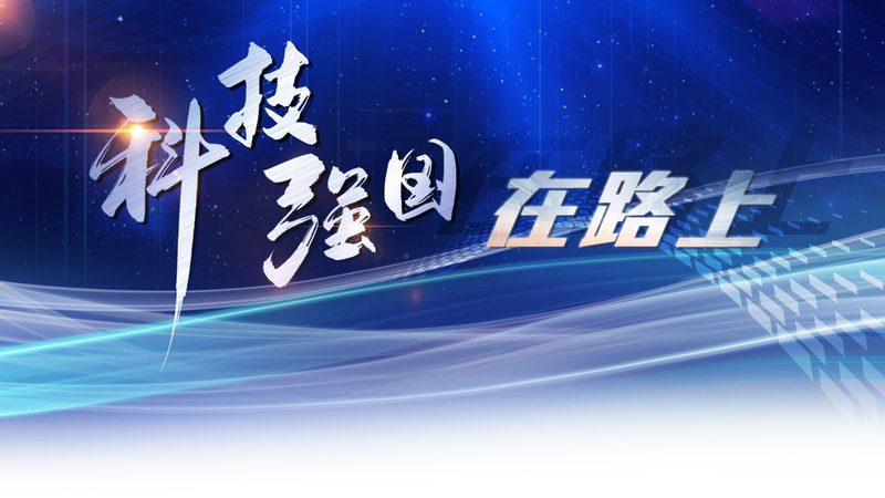 数字化解决方案采购合同：关键条款与风险防范**